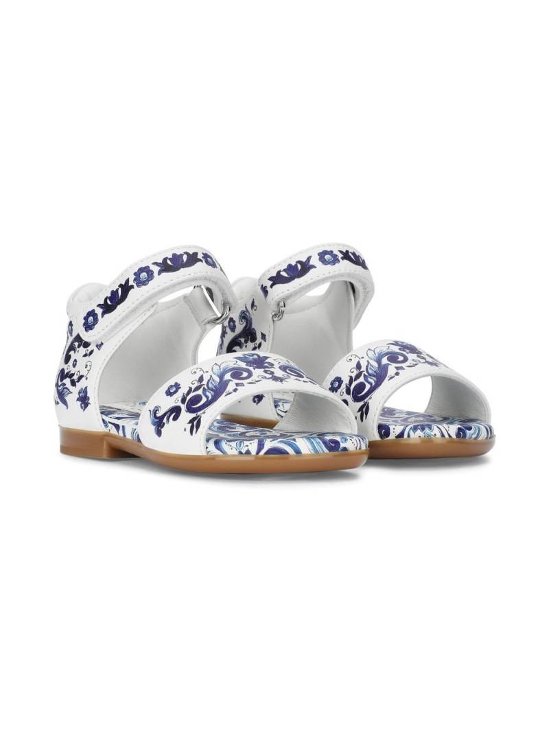 Dolce & Gabbana Kids Majolica-print leather sandals - White von Dolce & Gabbana Kids