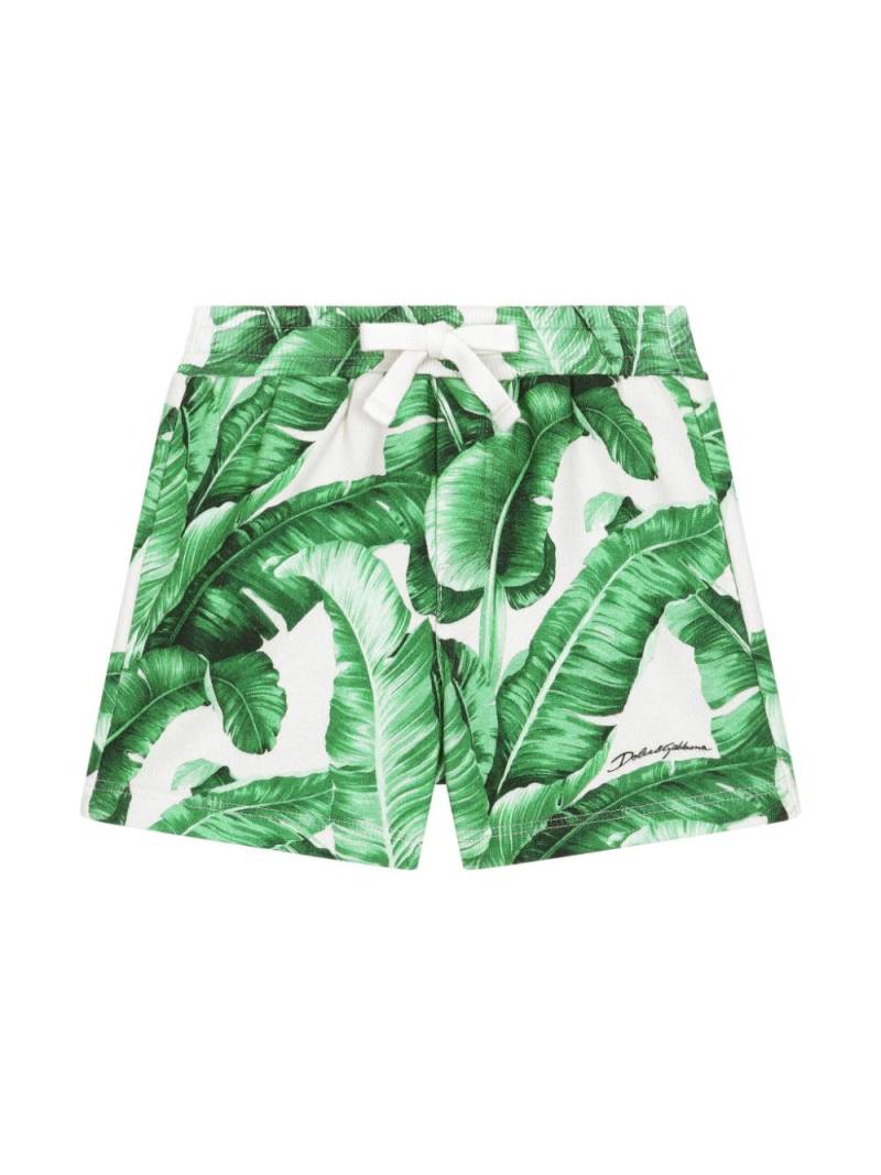 Dolce & Gabbana Kids leaf-print cotton shorts - Green von Dolce & Gabbana Kids