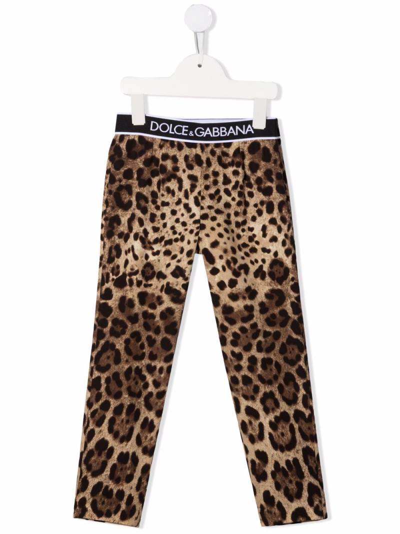 Dolce & Gabbana Kids leopard-print logo trousers - Brown von Dolce & Gabbana Kids