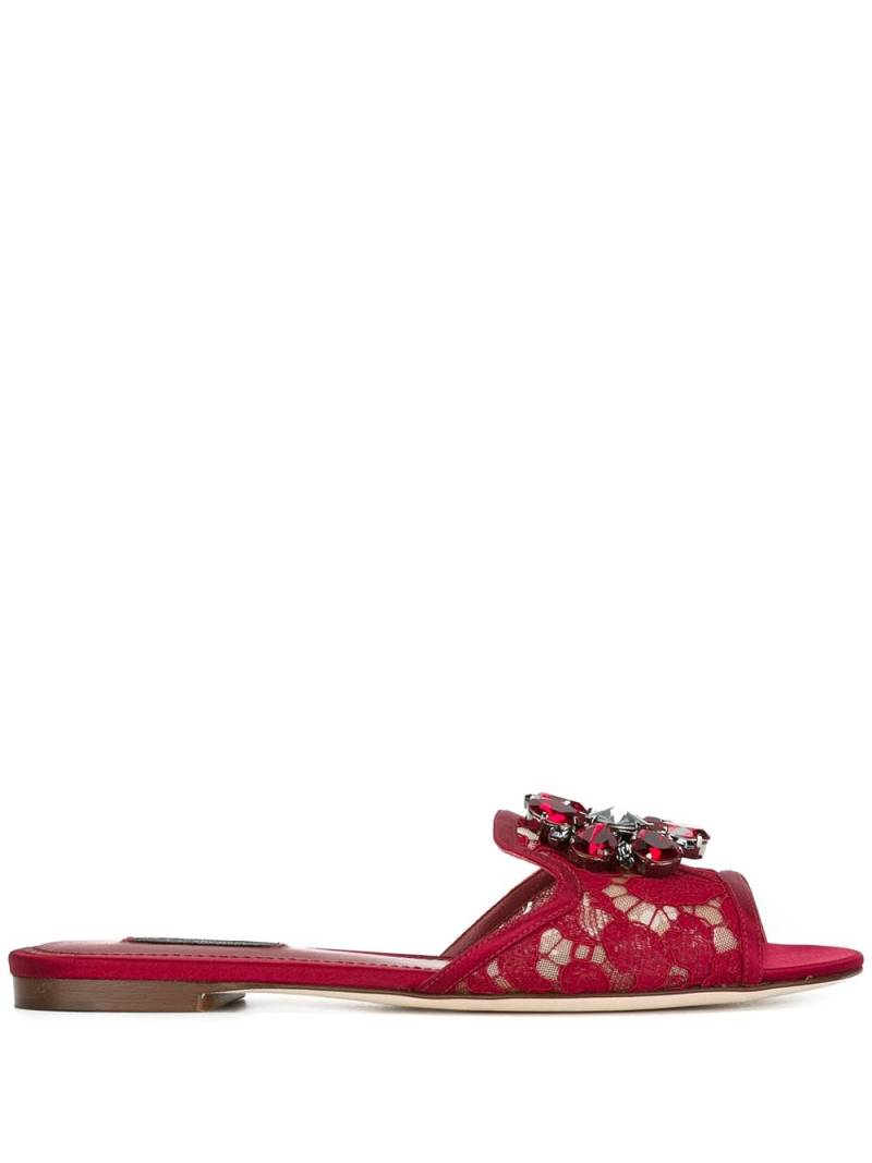 Dolce & Gabbana Rainbow Lace brooch-detail sandals - Red von Dolce & Gabbana