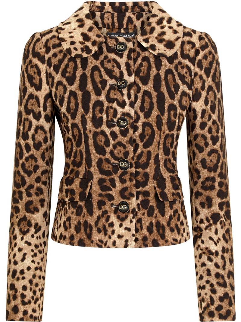 Dolce & Gabbana Dolce leopard-print wool jacket - Brown von Dolce & Gabbana