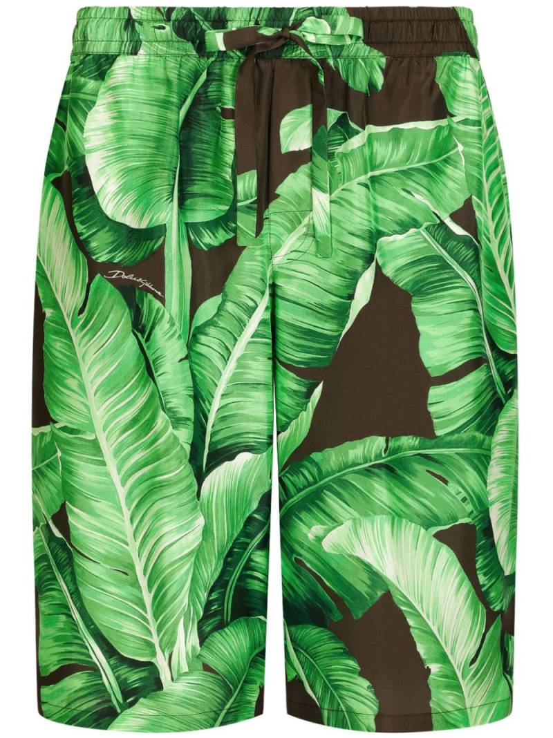 Dolce & Gabbana banana leaf-print Bermuda shorts - Green von Dolce & Gabbana