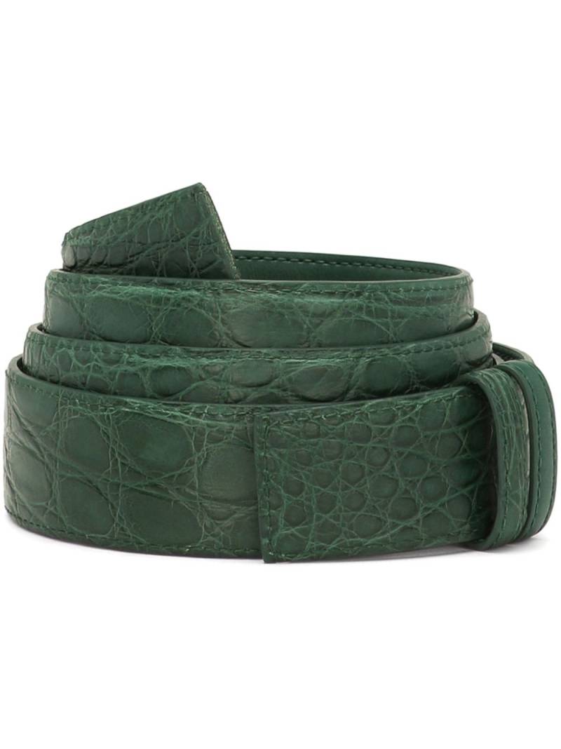 Dolce & Gabbana crocodile-embossed belt - Green von Dolce & Gabbana