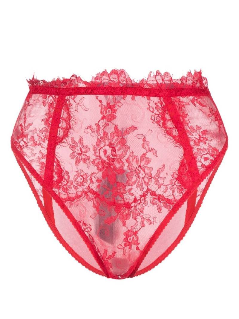 Dolce & Gabbana lace high-waisted briefs - Red von Dolce & Gabbana