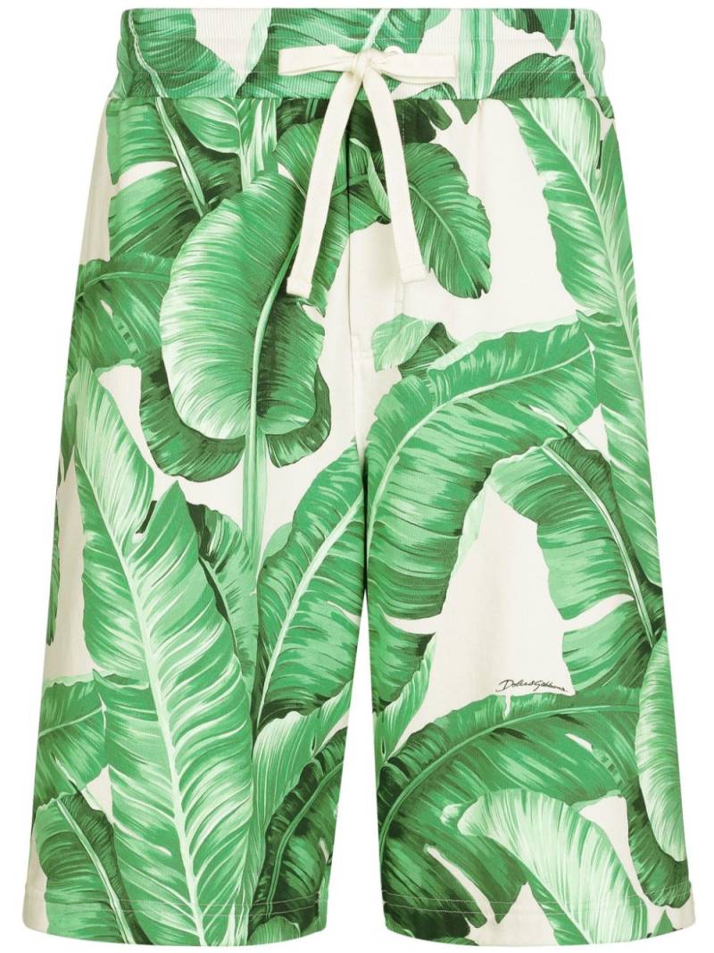 Dolce & Gabbana leaf-print cotton track shorts - Green von Dolce & Gabbana