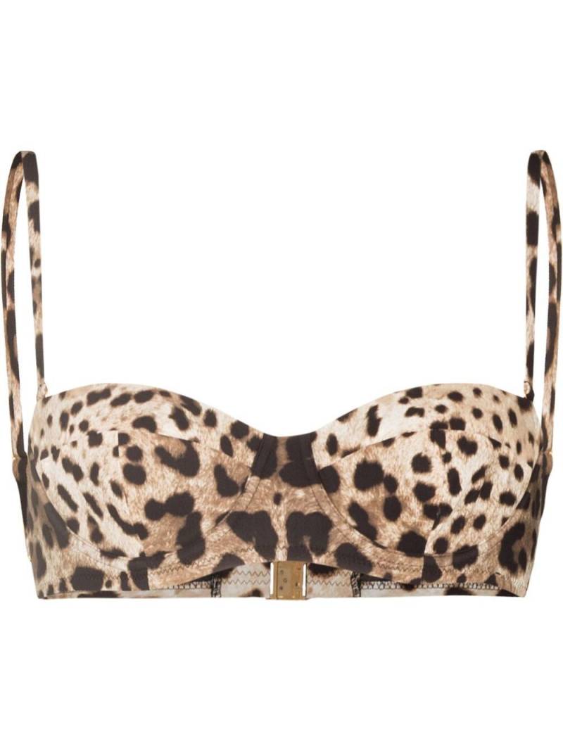 Dolce & Gabbana leopard-print bikini top - Brown von Dolce & Gabbana