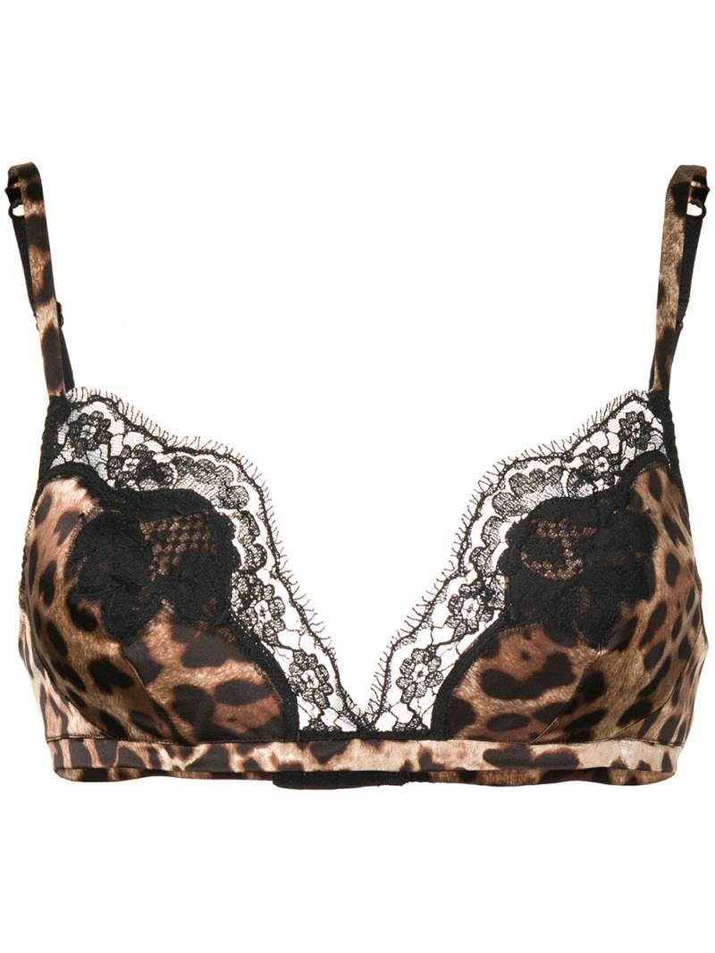 Dolce & Gabbana leopard print bra - Brown von Dolce & Gabbana