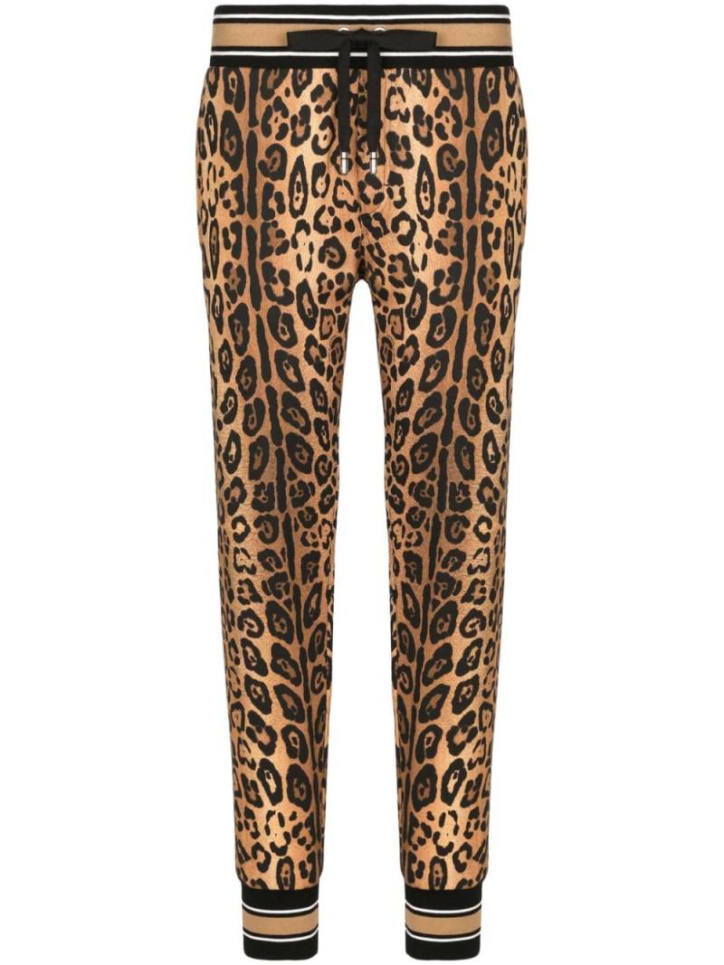 Dolce & Gabbana leopard-print cotton track pants - Brown von Dolce & Gabbana