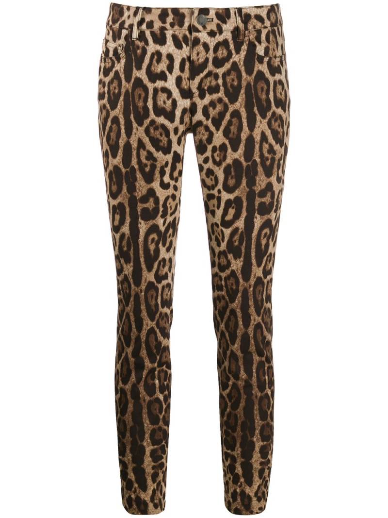 Dolce & Gabbana leopard-print cropped jeans - Neutrals von Dolce & Gabbana