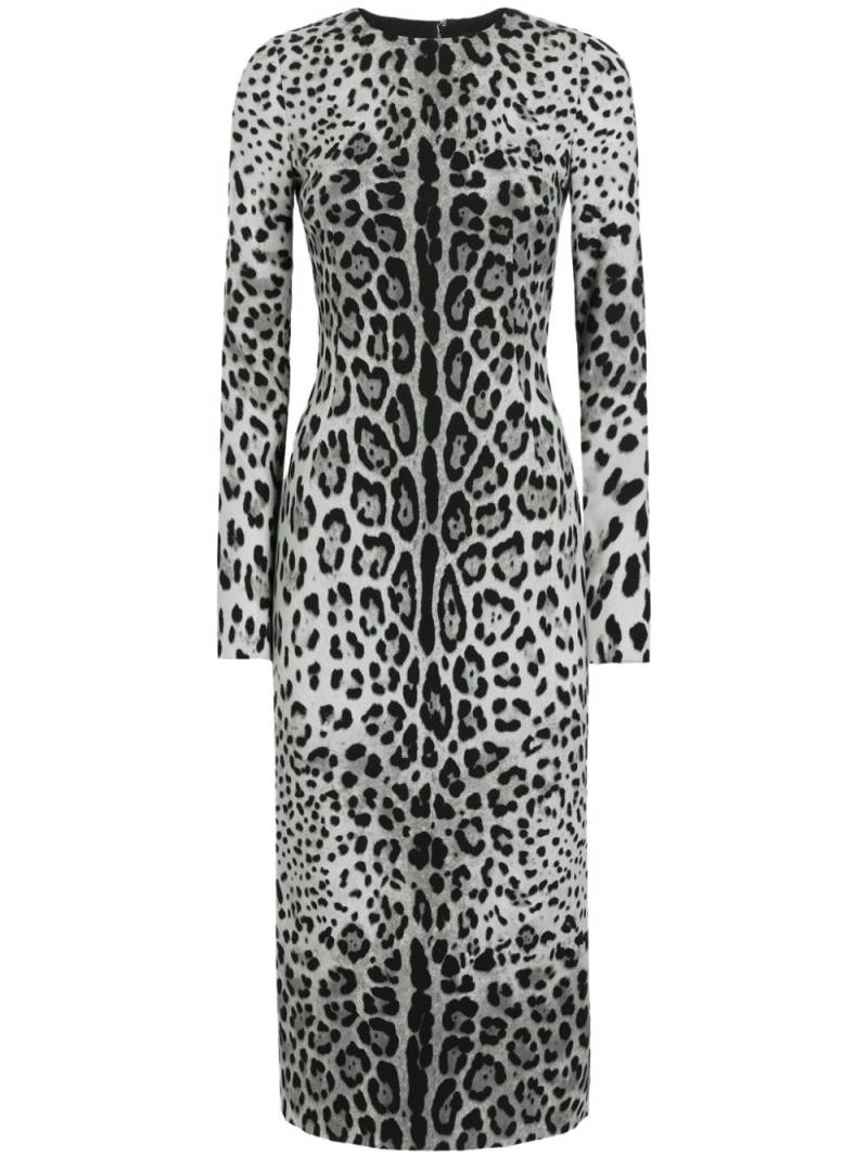 Dolce & Gabbana leopard-print dress - Grey von Dolce & Gabbana