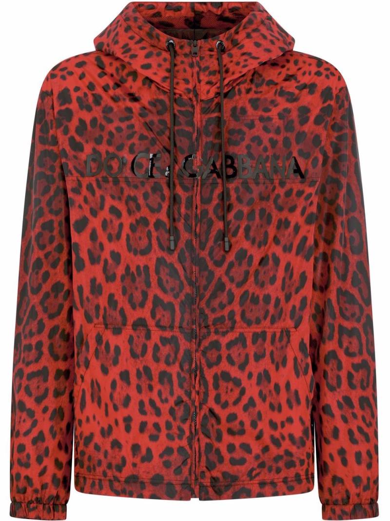 Dolce & Gabbana leopard-print hooded jacket - Red von Dolce & Gabbana