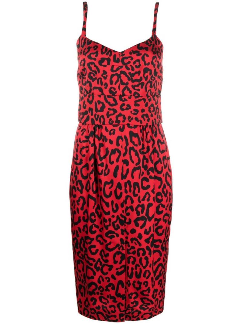 Dolce & Gabbana leopard-print midi dress - Red von Dolce & Gabbana