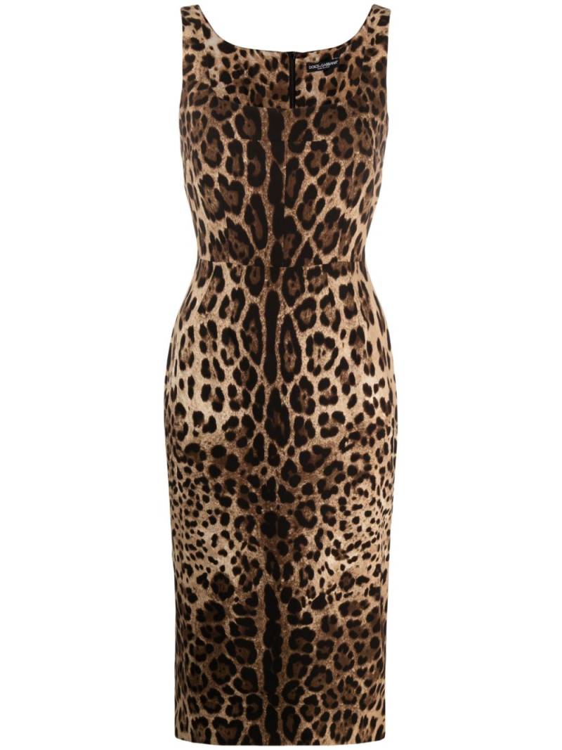 Dolce & Gabbana leopard-print square-neck fitted dress - Brown von Dolce & Gabbana