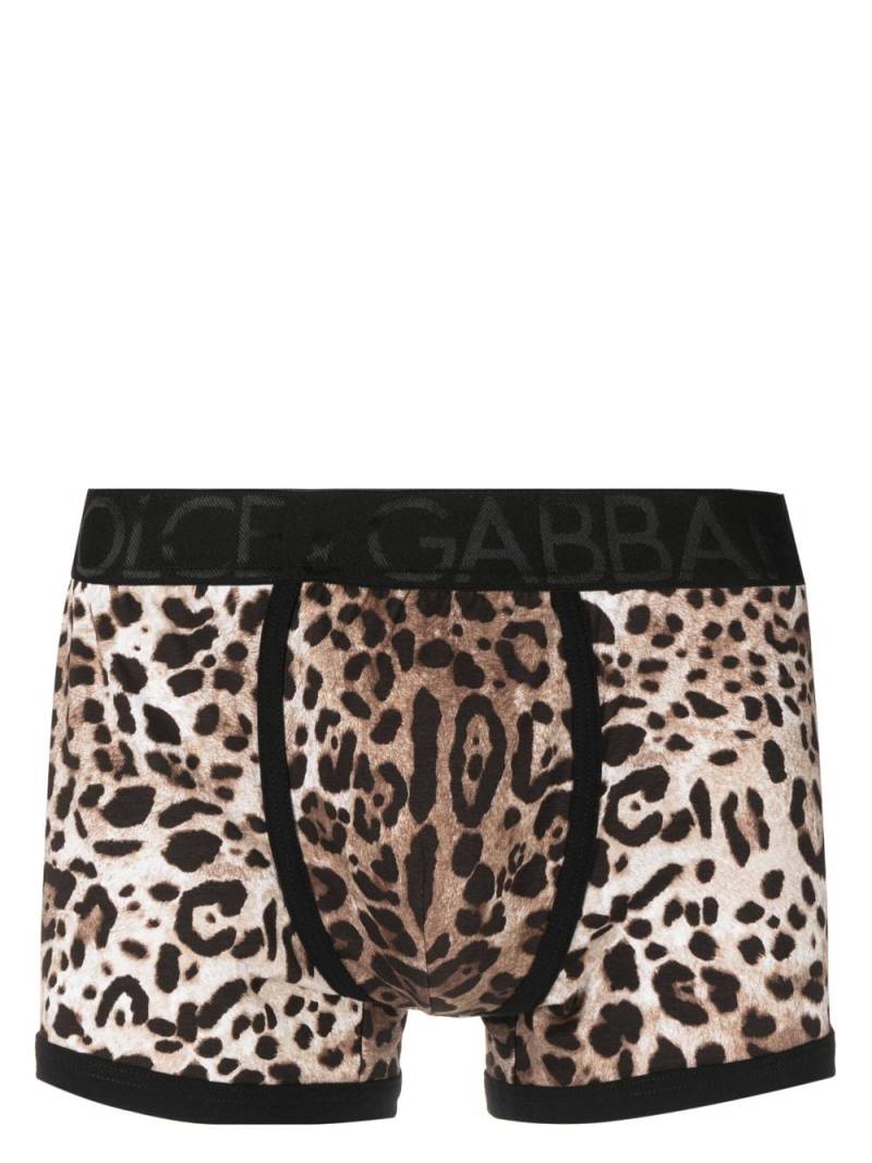 Dolce & Gabbana leopard-print stretch-cotton boxers - Brown von Dolce & Gabbana