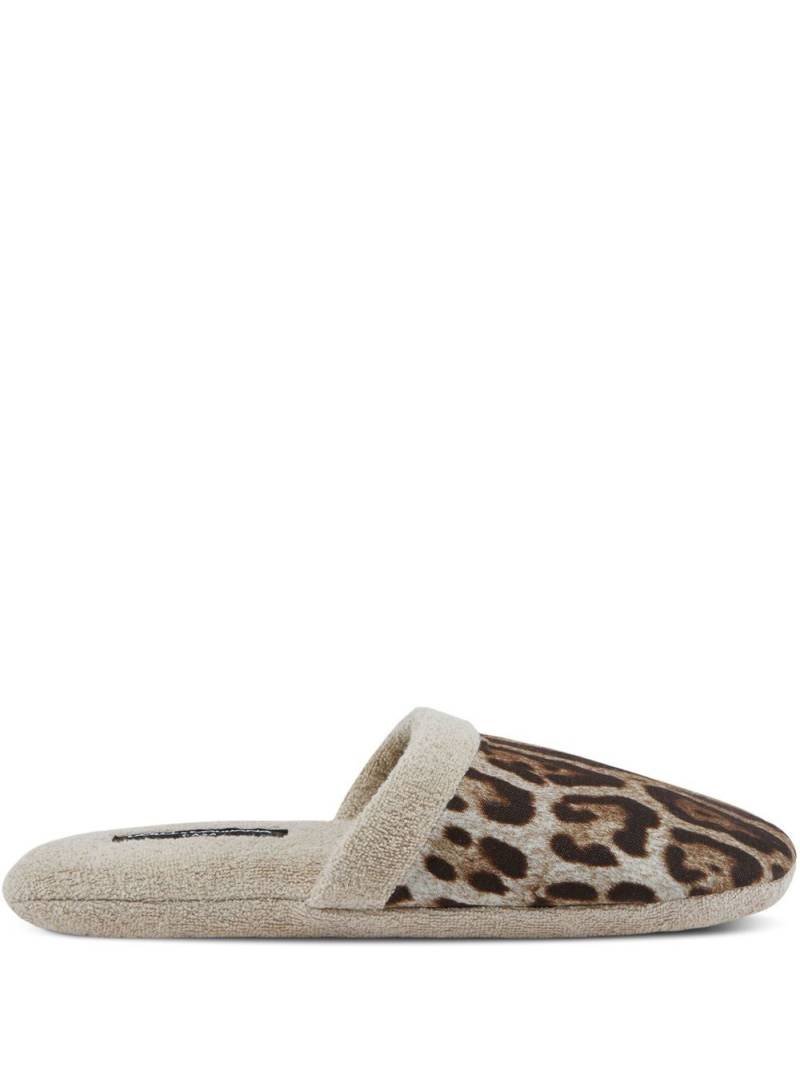 Dolce & Gabbana leopard-print terry slippers - Neutrals von Dolce & Gabbana