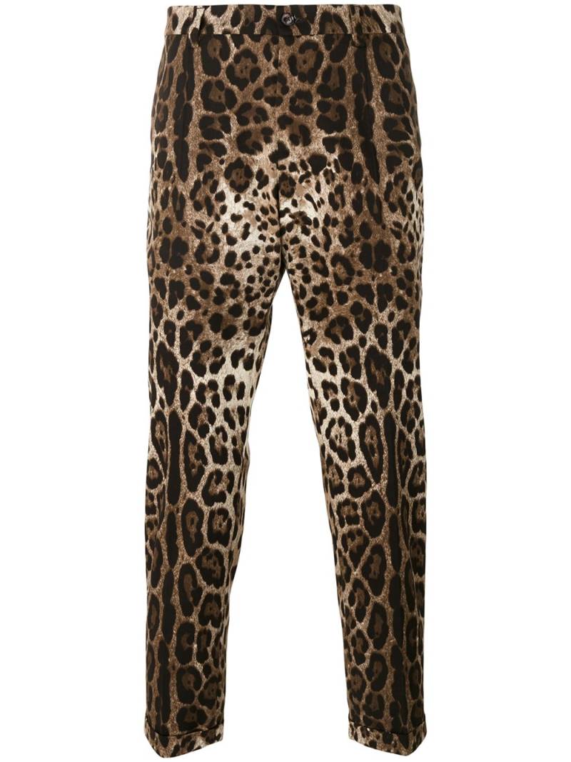 Dolce & Gabbana leopard-print straight-leg trousers - Brown von Dolce & Gabbana