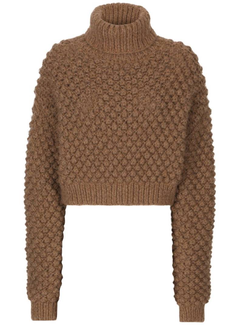 Dolce & Gabbana roll-neck cropped jumper - Brown von Dolce & Gabbana