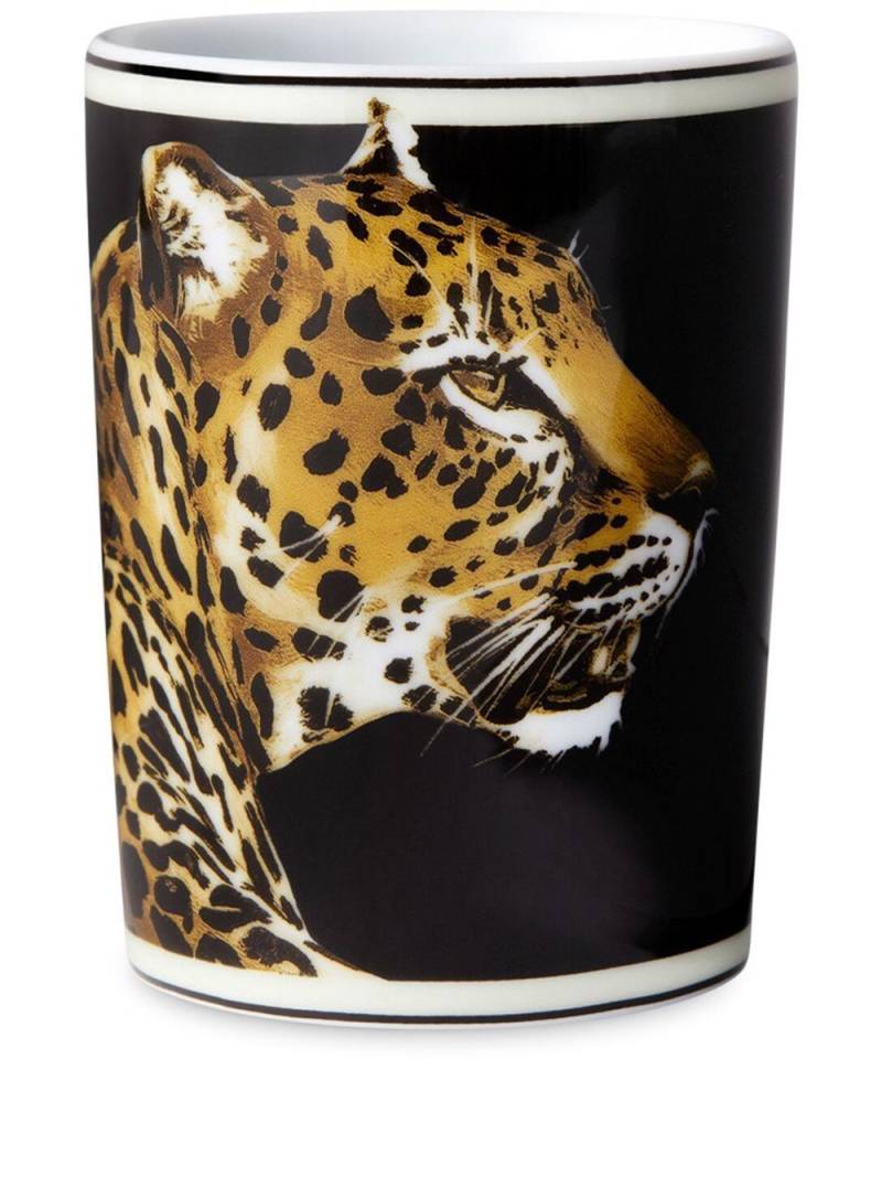 Dolce & Gabbana tiger-print porcelain glass - Black von Dolce & Gabbana