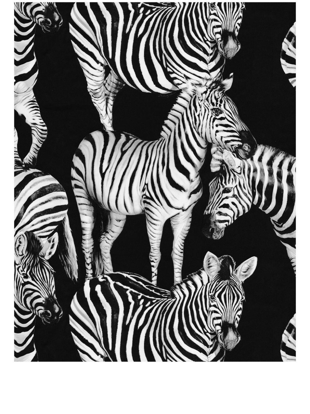 Dolce & Gabbana zebra-print wallpaper - Black von Dolce & Gabbana