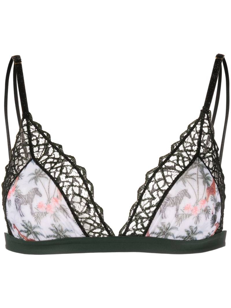 Dolci Follie Zebra soft triangle bra - Black von Dolci Follie