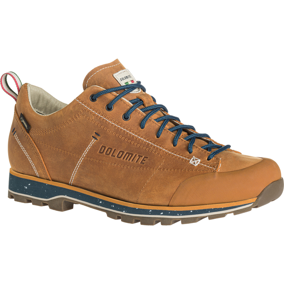 Dolomite Herren 54 Low FG Evo GTX Schuhe von Dolomite