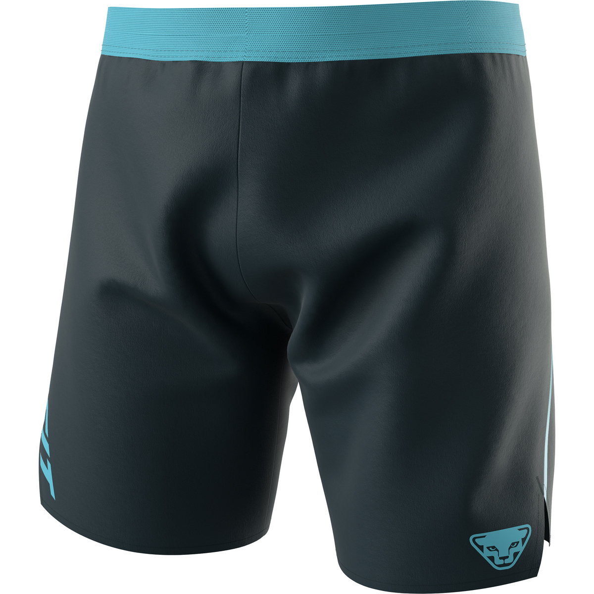 Dynafit Herren Alpine Shorts von Dynafit