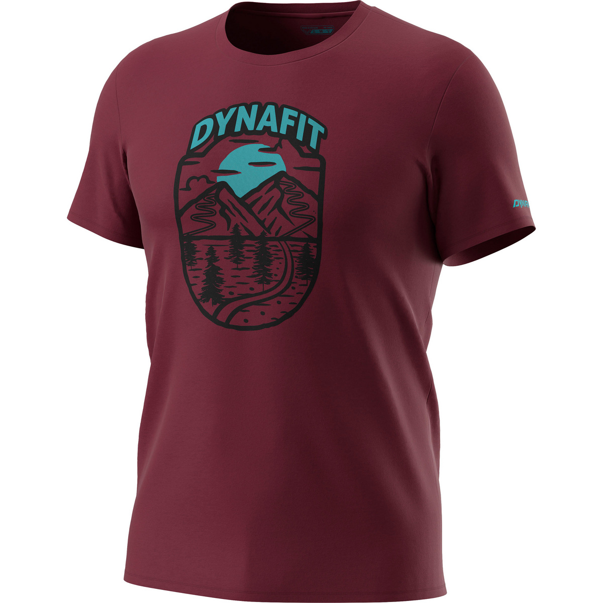 Dynafit Herren Graphic CO T-Shirt von Dynafit