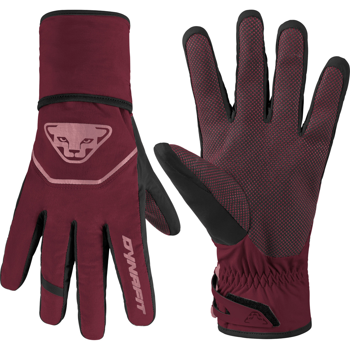 Dynafit Mercury DST Handschuhe von Dynafit