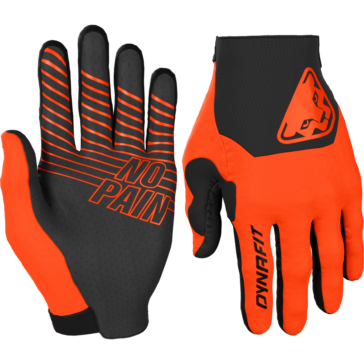 Dynafit Ride Handschuhe von Dynafit