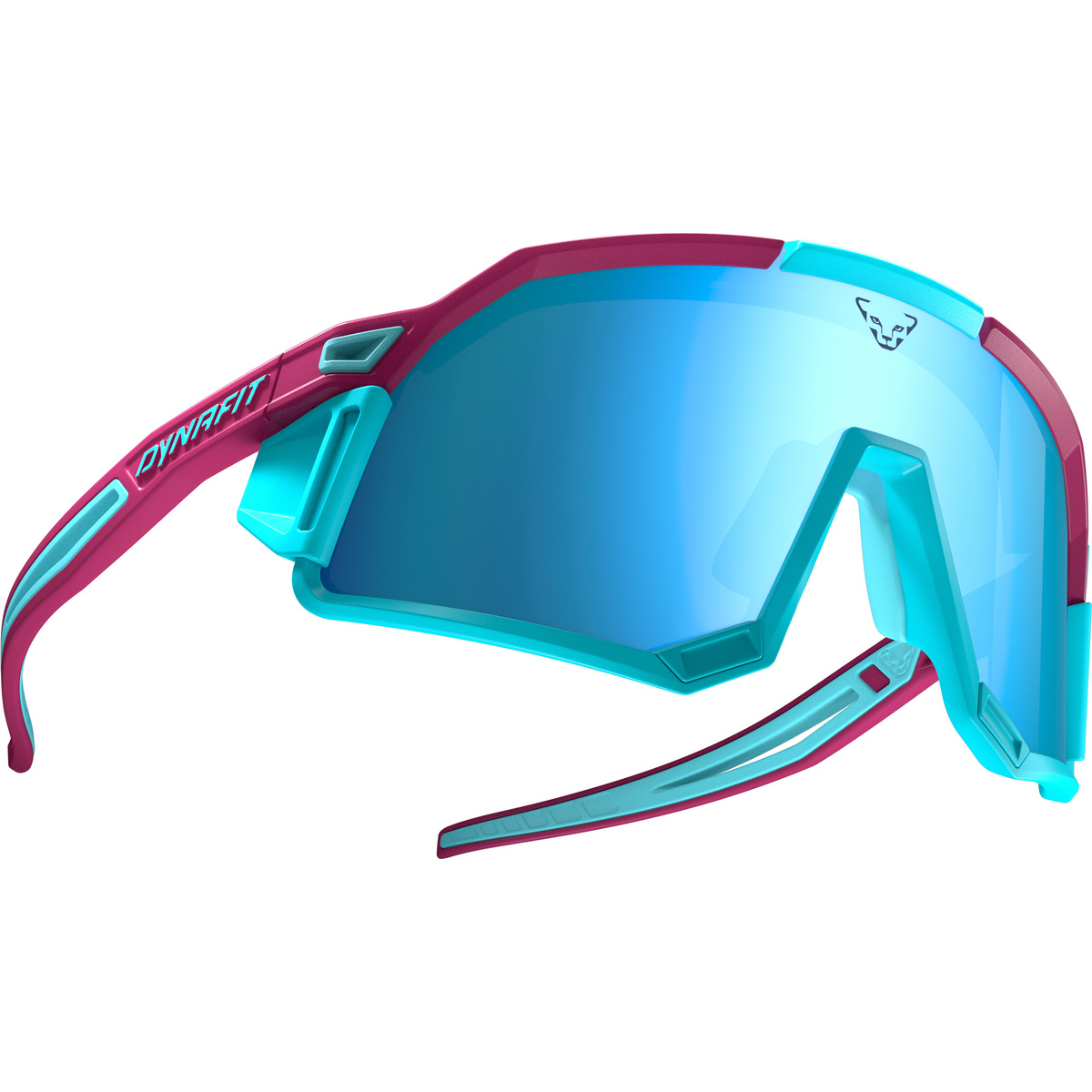 Dynafit Sky Evo Gletscherbrille von Dynafit