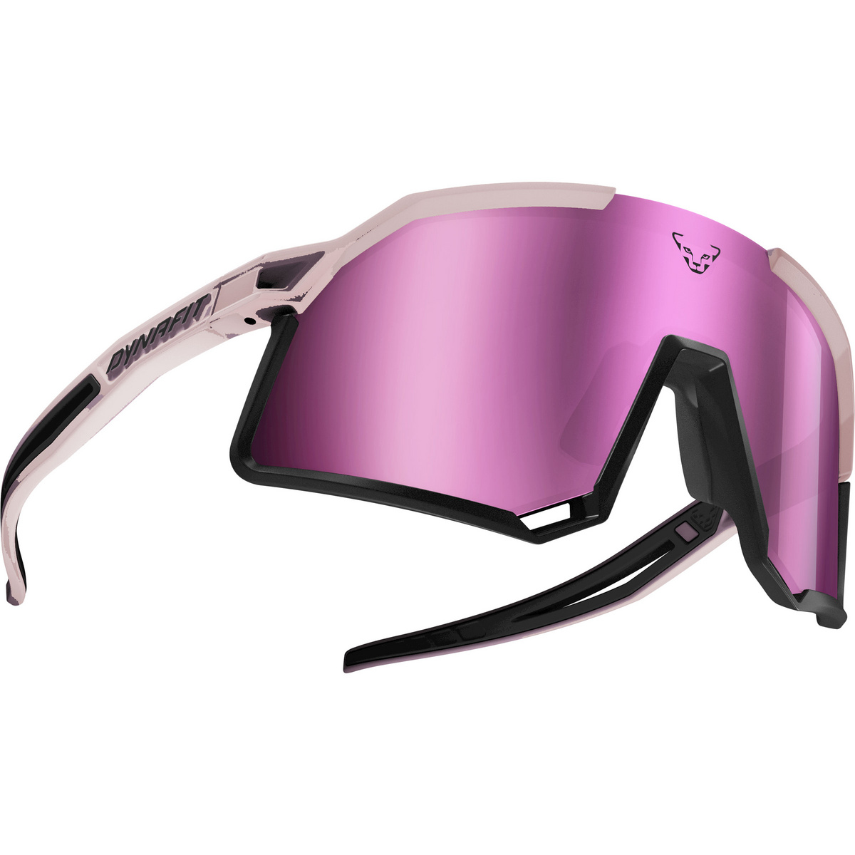 Dynafit Trail Evo Sportbrille von Dynafit