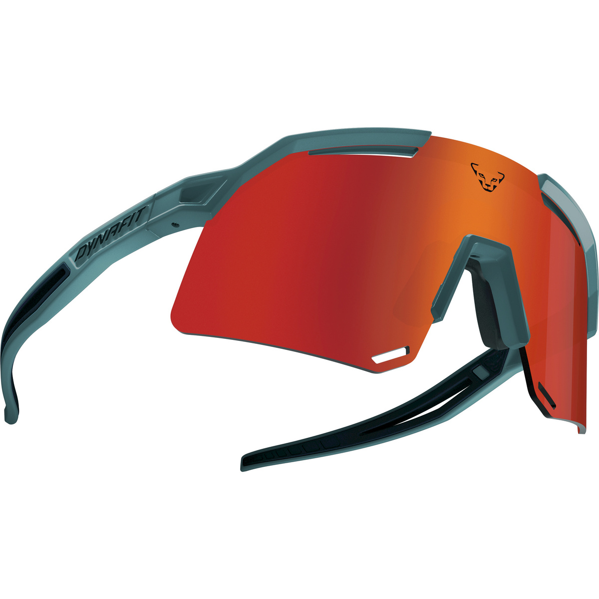 Dynafit Ultra Evo Sportbrille von Dynafit