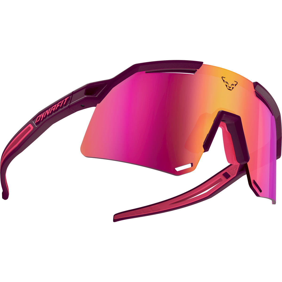 Dynafit Ultra Evo Sportbrille von Dynafit