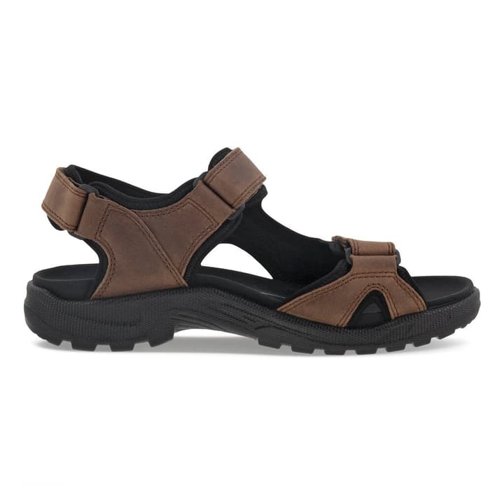 Ecco Onroads Trekkingsandalen braun von ECCO