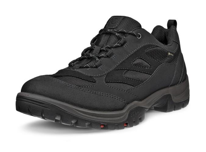 Ecco Schnürschuh »XPEDITION 3 M«, mit GORE-TEX, Outdoorschuh, Halbschuh, Schnürschuh von ECCO