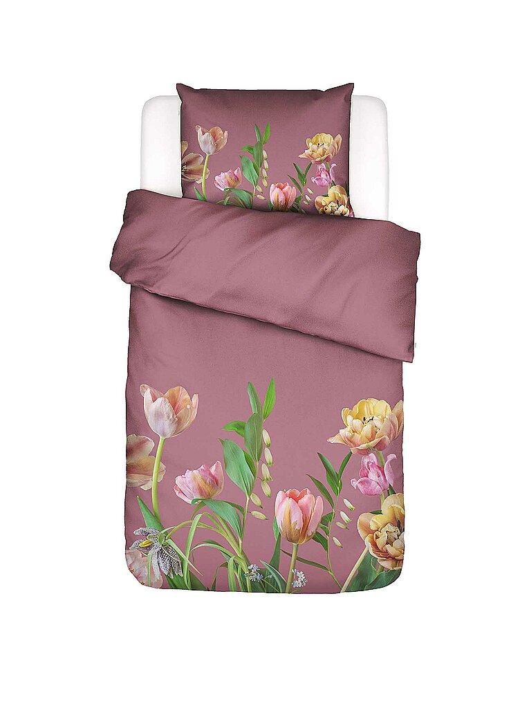 ESSENZA Satin-Bettwäsche ELOISE 70x90cm/140x200cm Mauve beere ESSENZA Satin-Bettwäsche ELOISE 70x90cm/140x200cm Mauve beere von ESSENZA