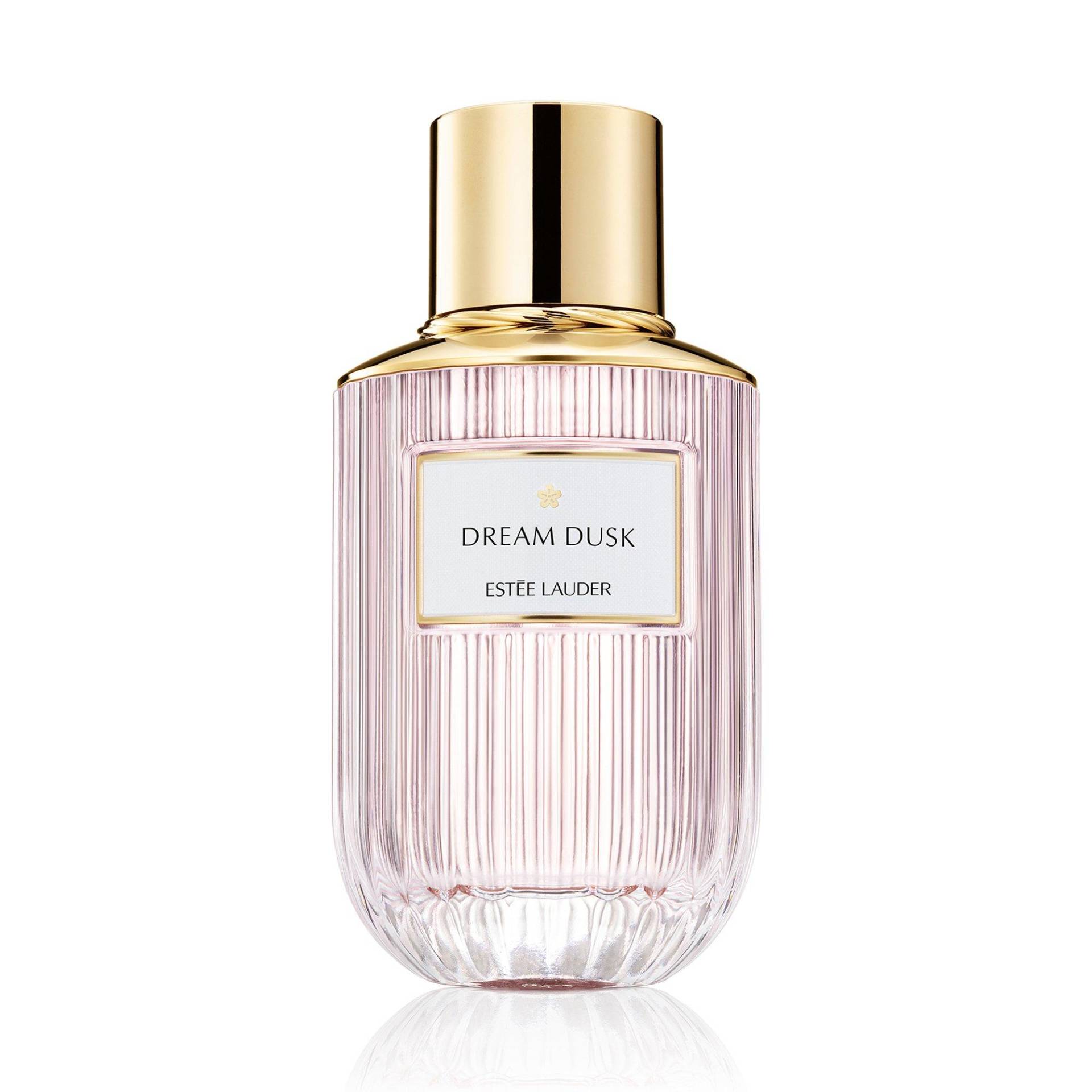 Dream Dusk Damen  40ml von ESTÉE LAUDER