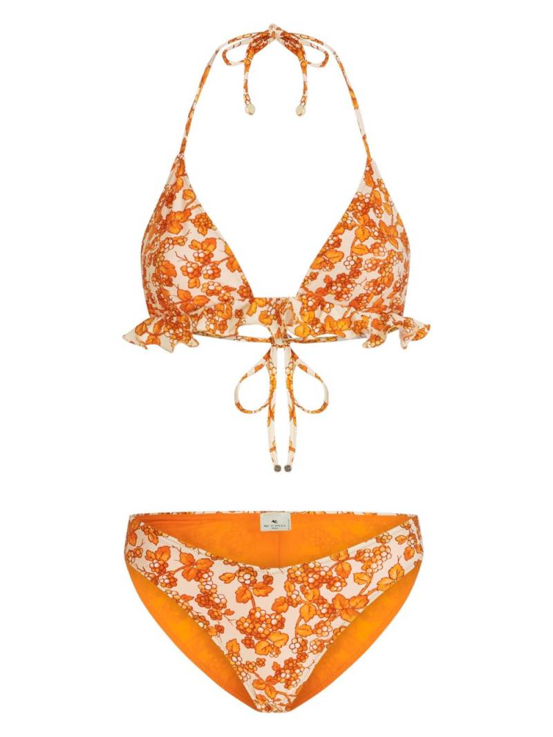 ETRO Berry-print triangle bikini - Orange von ETRO