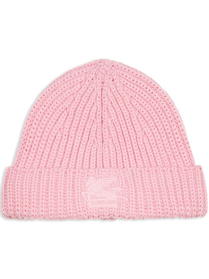 ETRO logo-embroidered wool beanie - Pink von ETRO