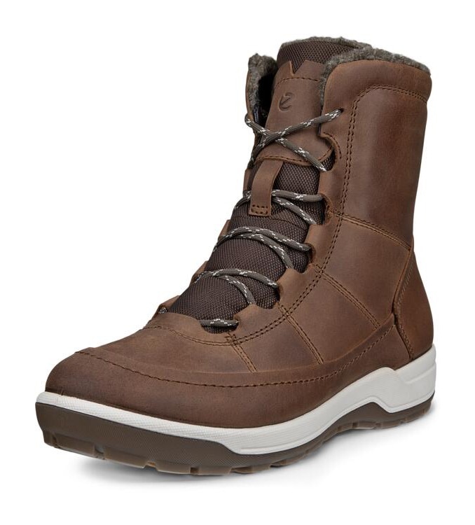 Ecco Winterboots »TRACE LITE«, Schnürboots, Outdoorboots mit waterproof-Ausstattung Ecco Winterboots »TRACE LITE«, Schnürboots, Outdoorboots mit waterproof-Ausstattung von Ecco