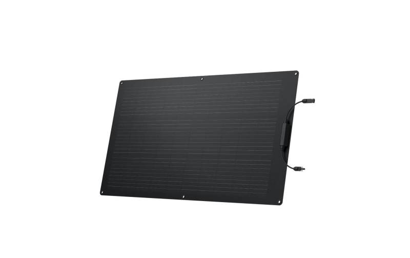 Ecoflow Solarmodul »flexibel, IP68, 100 W« von EcoFlow