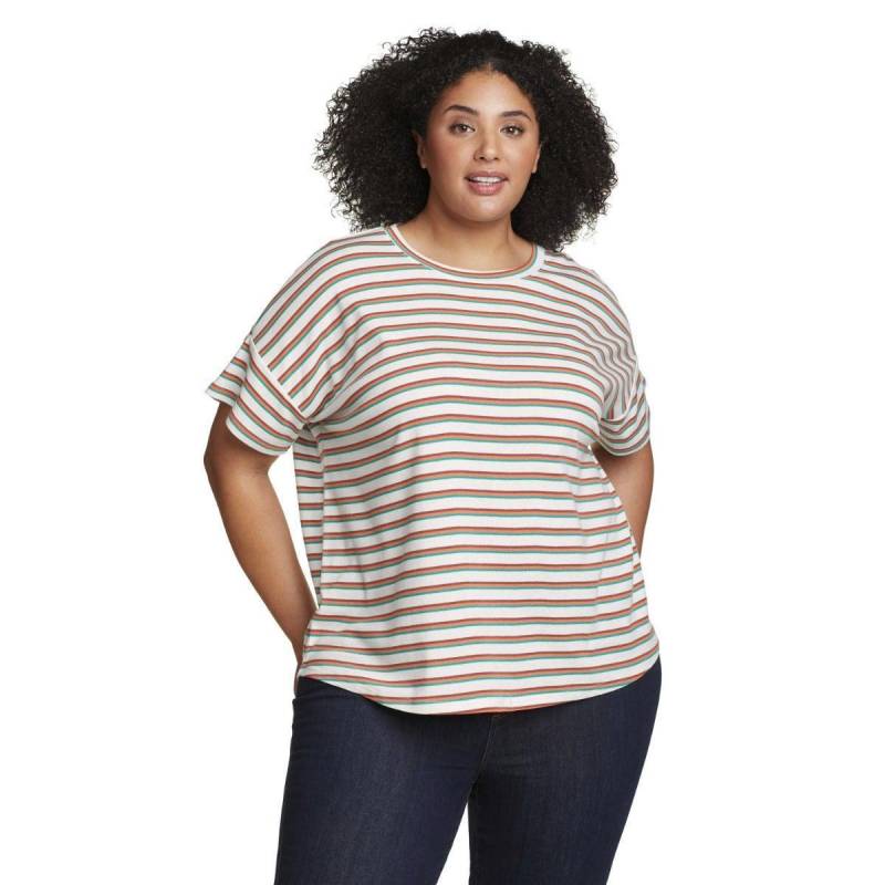 Favorite Tshirt Überschnittene Schulter Kurzärmlig Damen Perlgrau M von Eddie Bauer