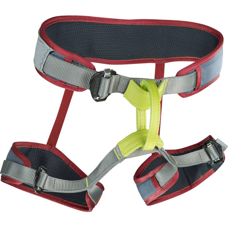 Edelrid Zack GYM Klettergurt von Edelrid