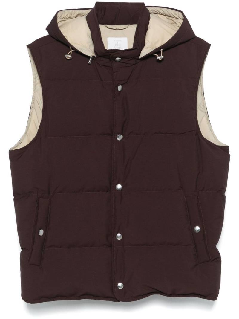 Eleventy hooded gilet - Purple von Eleventy