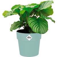 Blumentopf Mint 18x17cm 2,9L von Elho