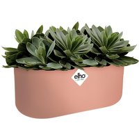 Blumentopf b for soft duo Rosa 27x13x14cm 3,7L von Elho