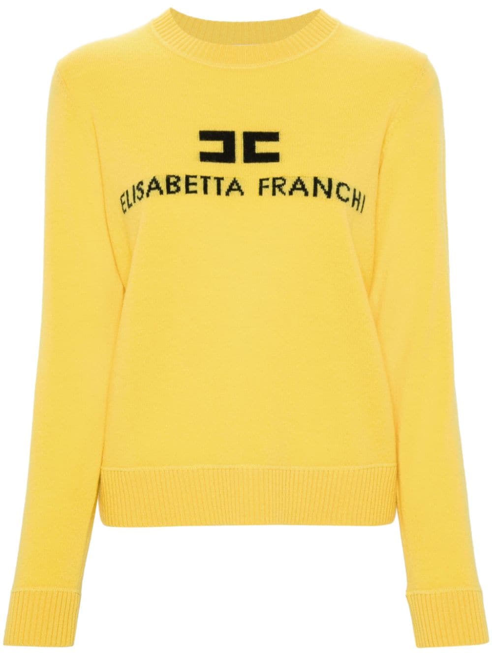 Elisabetta Franchi intarsia-logo sweater - Yellow von Elisabetta Franchi