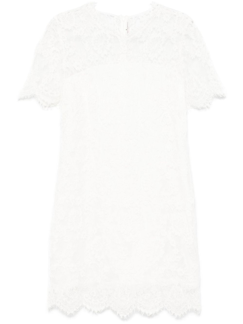 Ermanno Scervino half-sleeve rebrodè lace mini dress - White von Ermanno Scervino