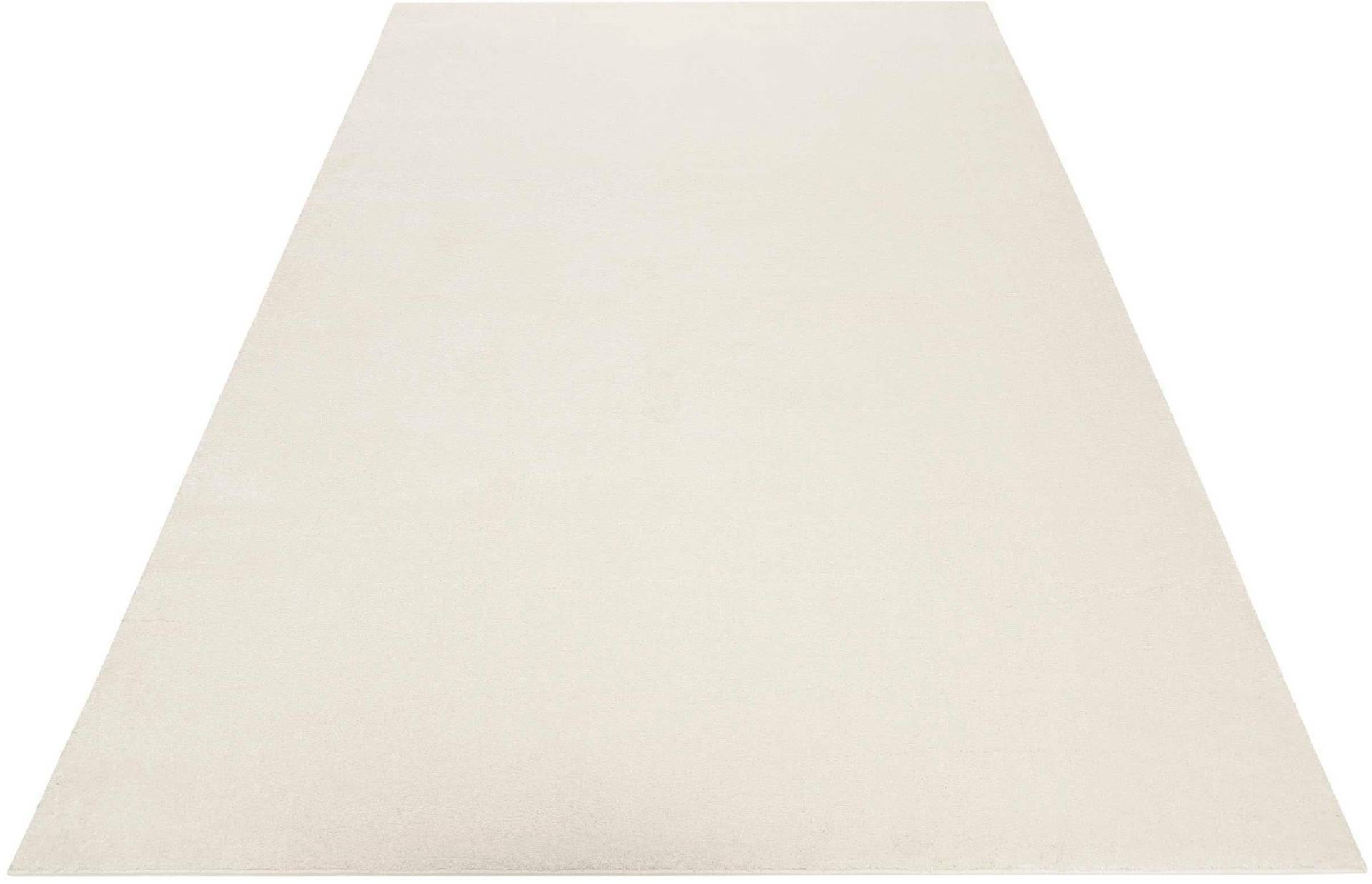 Esprit Teppich »Campus«, rechteckig, 17 mm Höhe, sehr flauschiger, dichter Flor, robust, Wohnzimmer, Schlafzimmer, uni Esprit Teppich »Campus«, rechteckig, 17 mm Höhe, sehr flauschiger, dichter Flor, robust, Wohnzimmer, Schlafzimmer, uni von Esprit