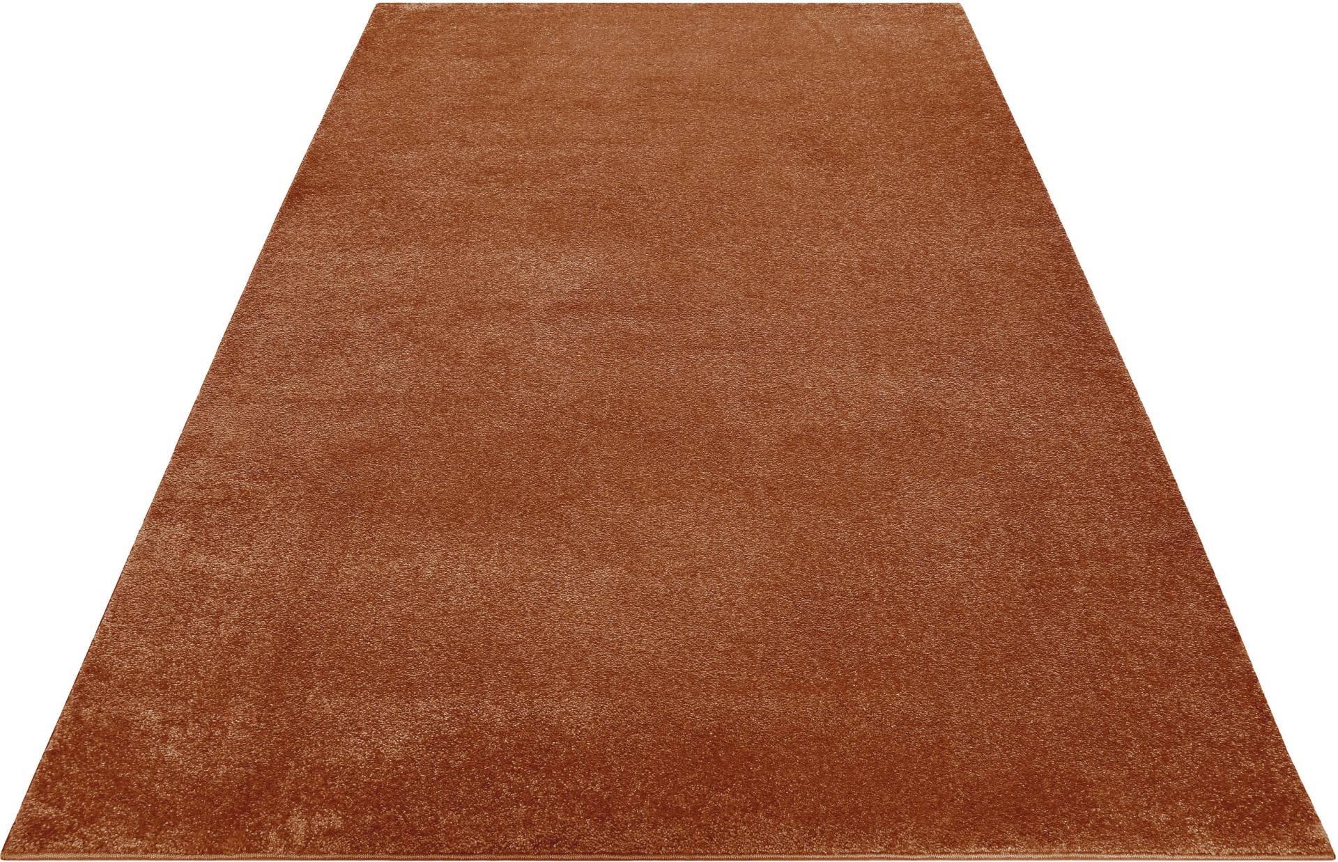 Esprit Teppich »Campus«, rechteckig, 17 mm Höhe, sehr flauschiger, dichter Flor, robust, Wohnzimmer, Schlafzimmer, uni Esprit Teppich »Campus«, rechteckig, 17 mm Höhe, sehr flauschiger, dichter Flor, robust, Wohnzimmer, Schlafzimmer, uni von Esprit